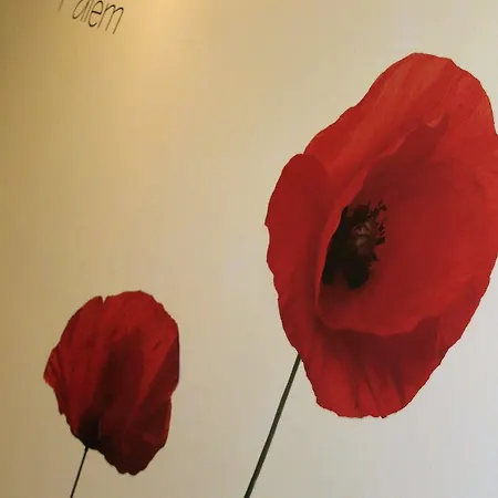 In Centro Zona Fiera,davanti Al Galliera Apartman